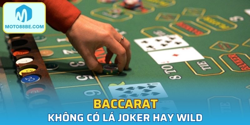 Baccarat là trò chơi bài nổi tiếng toàn cầu