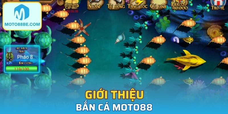 Giới thiệu bắn cá Moto88