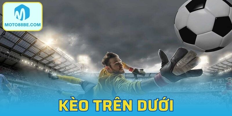 Giải Mã Kèo Trên Dưới Và Bí Quyết Bắt Kèo Chuẩn Xác
